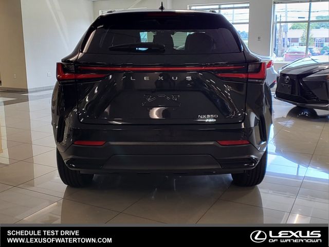 2024 Lexus NX 350 Premium