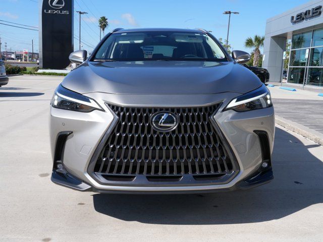 2024 Lexus NX 350 Premium