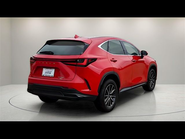 2024 Lexus NX 350 Premium