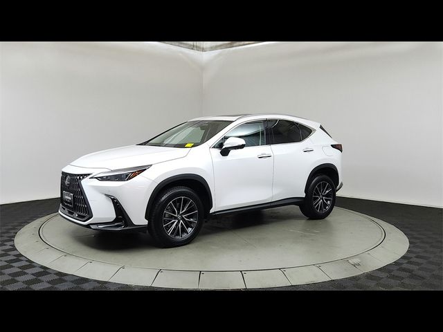 2024 Lexus NX 350 Premium