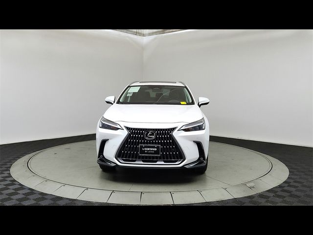 2024 Lexus NX 350 Premium