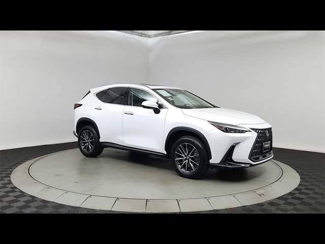 2024 Lexus NX 350 Premium