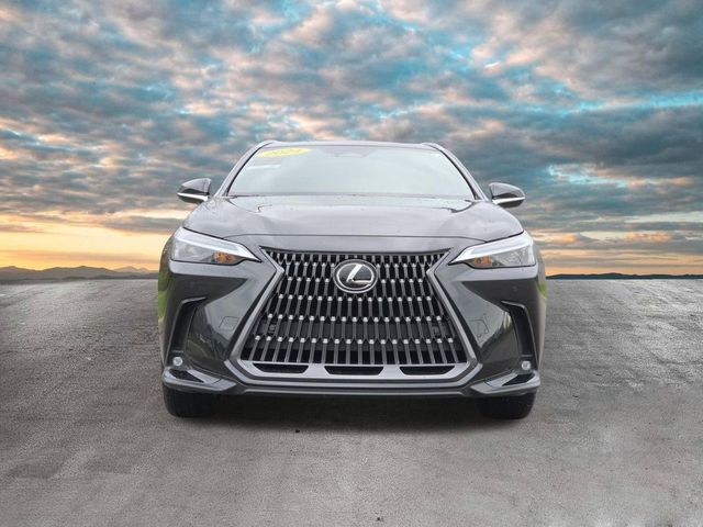 2024 Lexus NX 350 Premium