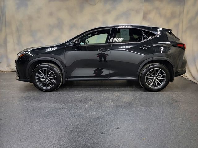 2024 Lexus NX 350 Premium