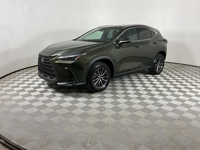 2024 Lexus NX 350 Premium