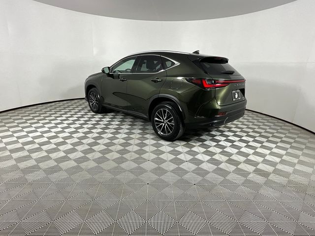 2024 Lexus NX 350 Premium