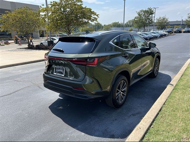 2024 Lexus NX 350 Premium