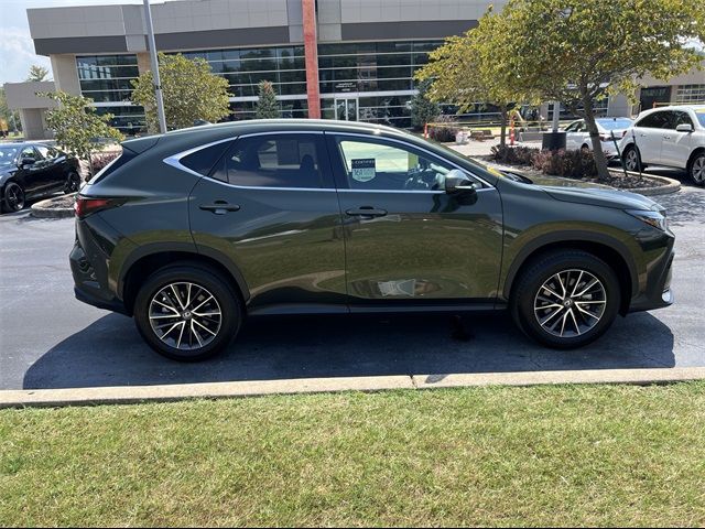 2024 Lexus NX 350 Premium