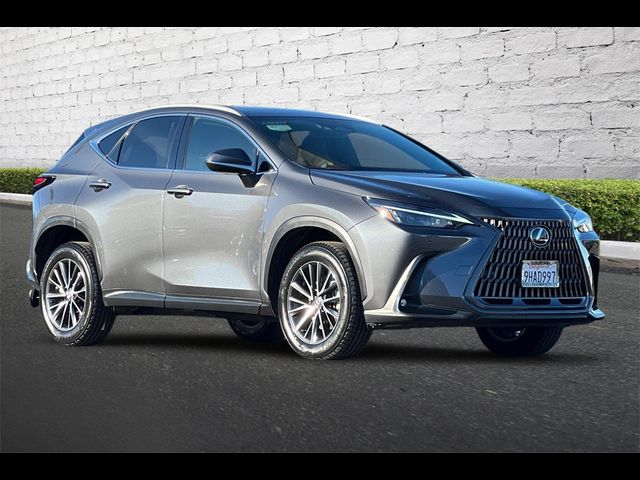 2024 Lexus NX 350 Premium