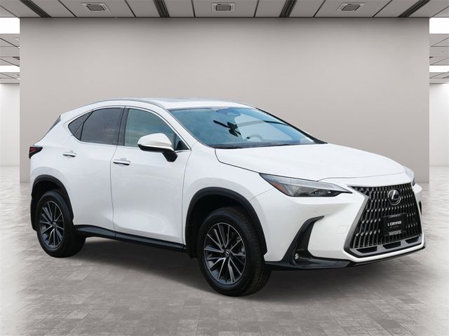 2024 Lexus NX 350 Premium