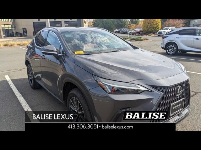 2024 Lexus NX 350 Premium