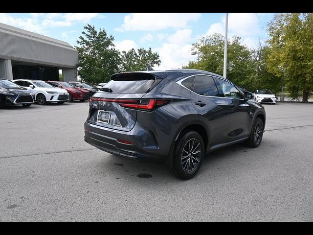 2024 Lexus NX 350 Premium