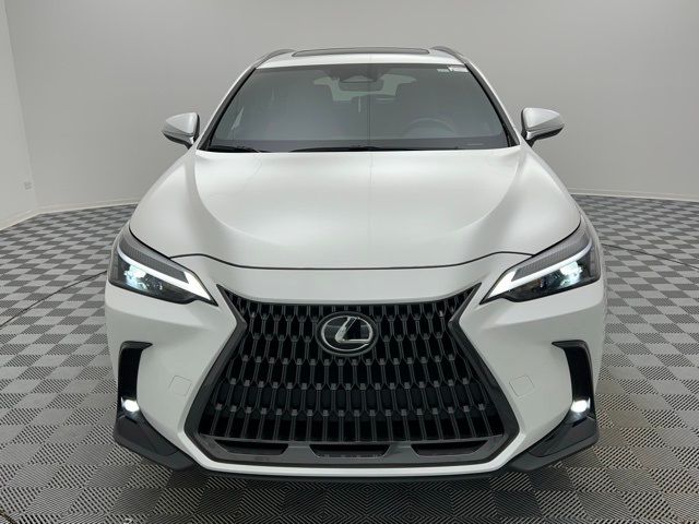 2024 Lexus NX 350