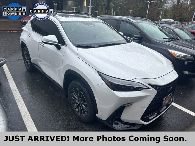 2024 Lexus NX 350 Premium