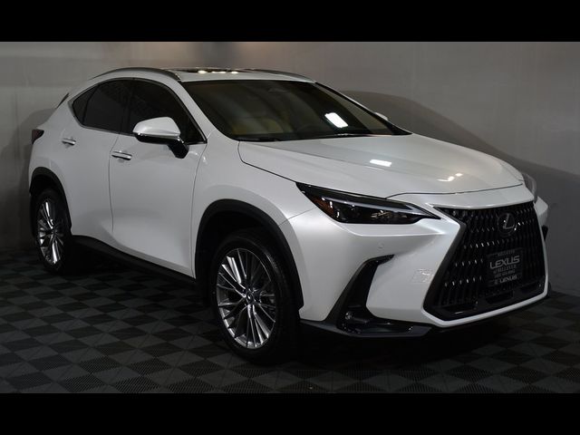 2024 Lexus NX 350 Premium