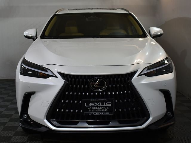 2024 Lexus NX 350 Premium