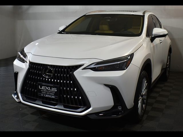 2024 Lexus NX 350 Premium