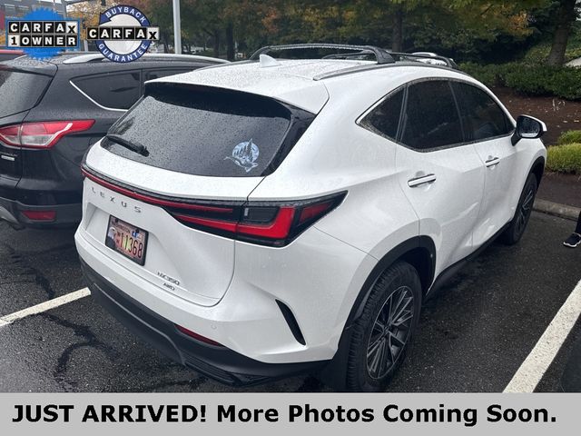 2024 Lexus NX 350 Premium