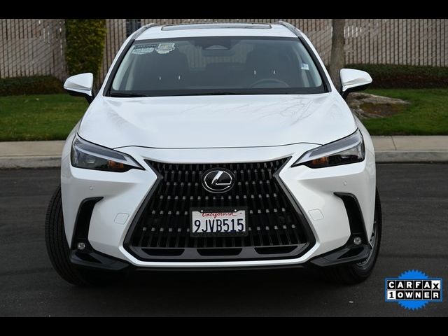 2024 Lexus NX 350 Premium