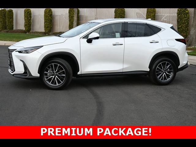 2024 Lexus NX 350 Premium