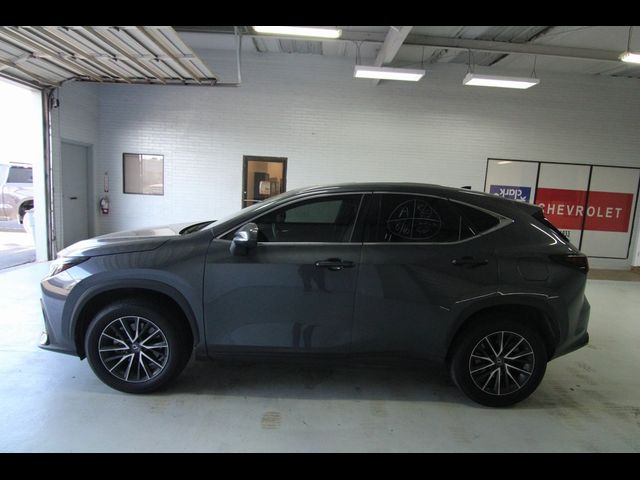 2024 Lexus NX 350 Premium