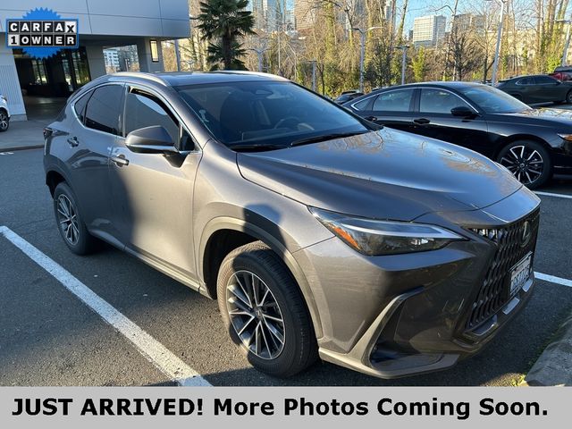 2024 Lexus NX 350 Premium