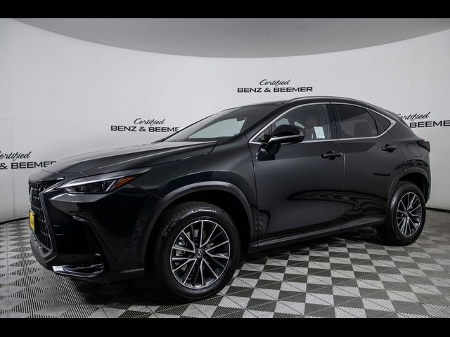 2024 Lexus NX 350 Premium