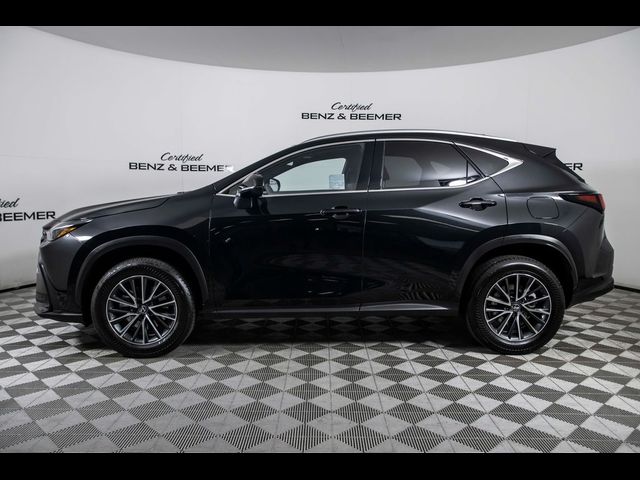 2024 Lexus NX 350 Premium