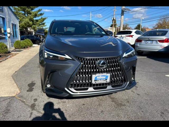 2024 Lexus NX 350 Premium