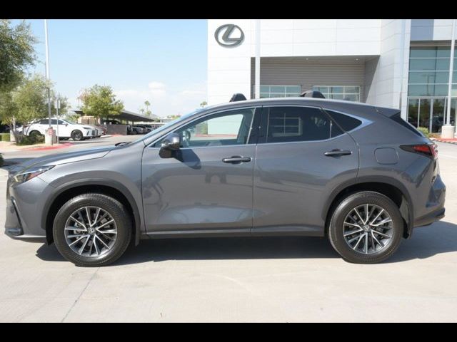 2024 Lexus NX 350h