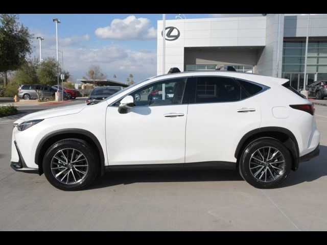 2024 Lexus NX 350h