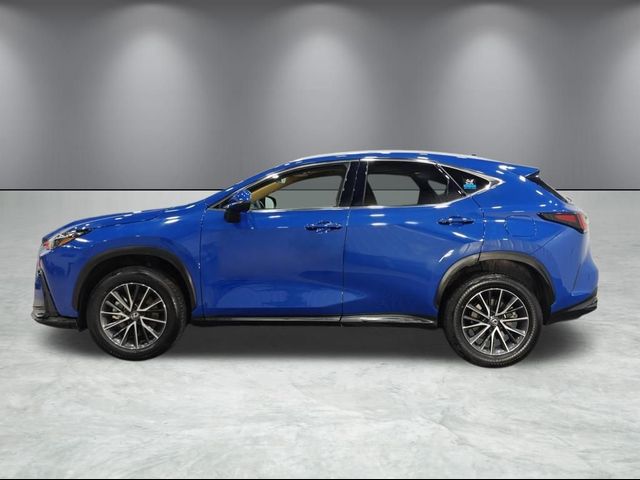 2024 Lexus NX 350h