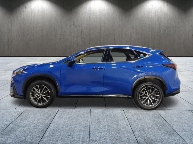 2024 Lexus NX 350h