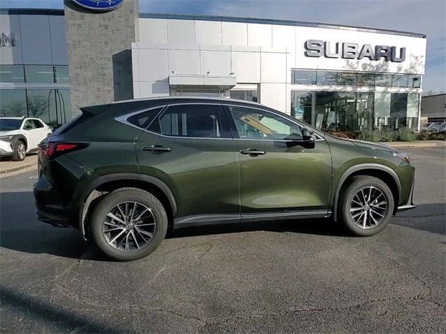 2024 Lexus NX 350h