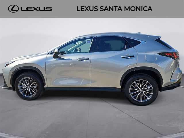 2024 Lexus NX 350h