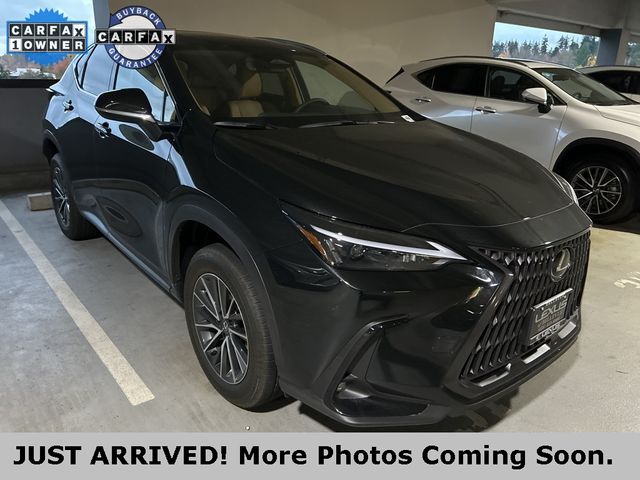 2024 Lexus NX 350h