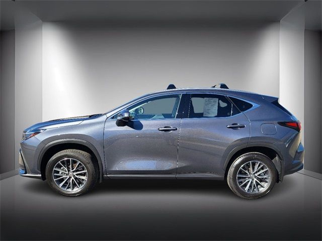 2024 Lexus NX 350h