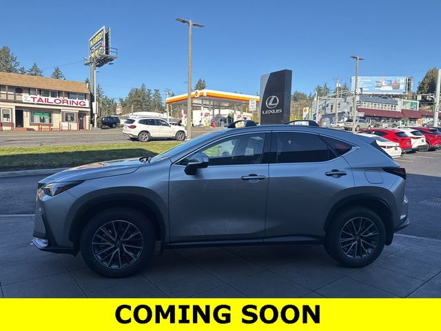 2024 Lexus NX 350h