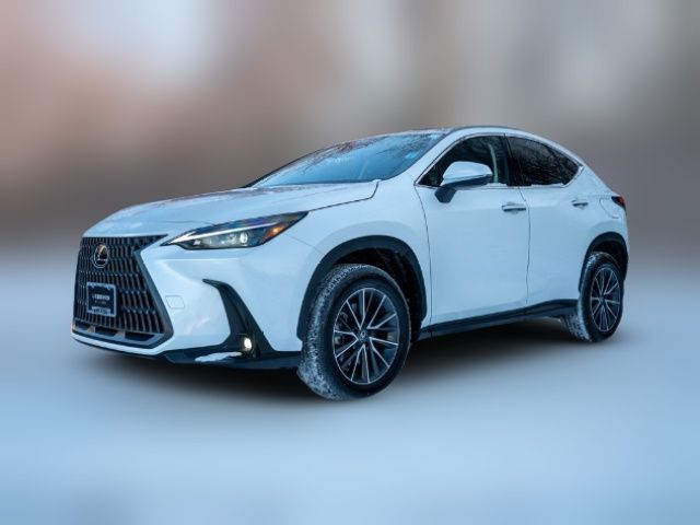 2024 Lexus NX 350h