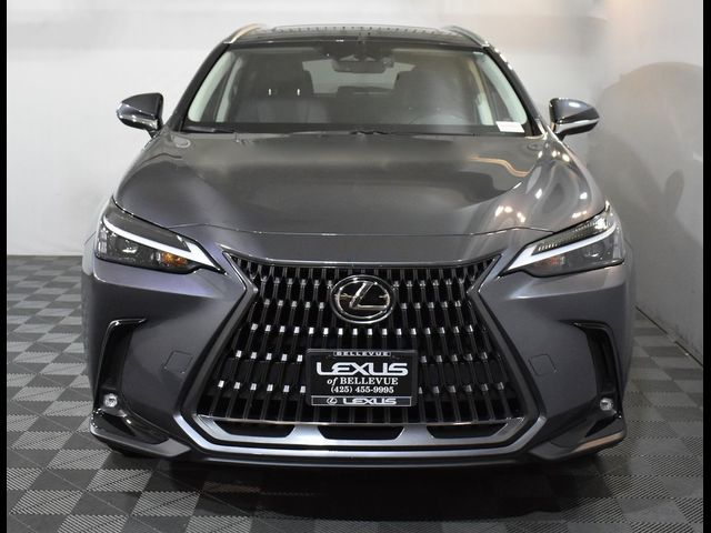 2024 Lexus NX 350h