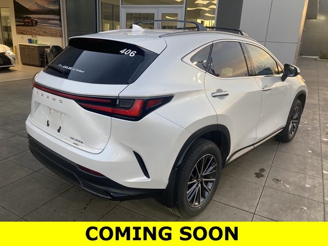 2024 Lexus NX 350h