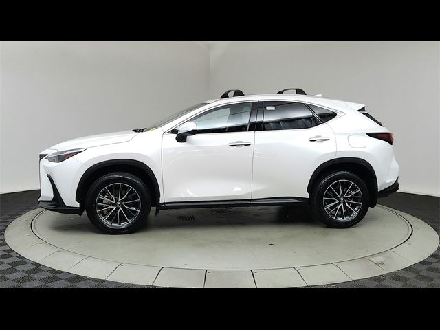 2024 Lexus NX 350h