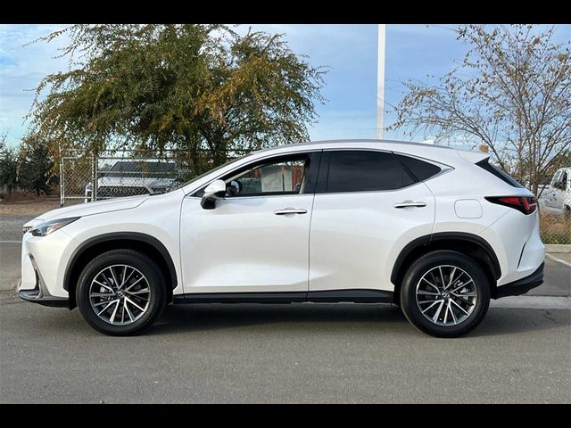 2024 Lexus NX 350h