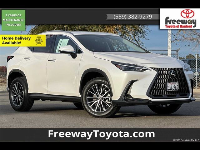 2024 Lexus NX 350h