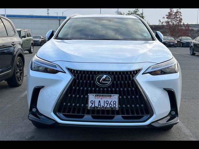 2024 Lexus NX 350h