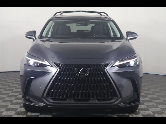 2024 Lexus NX 350h