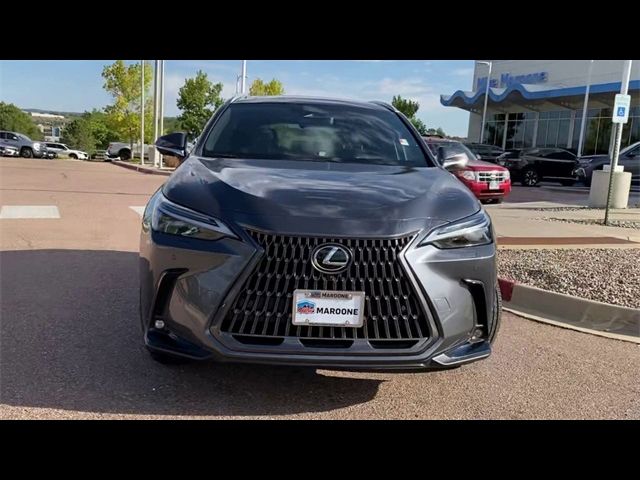 2024 Lexus NX 350h Luxury