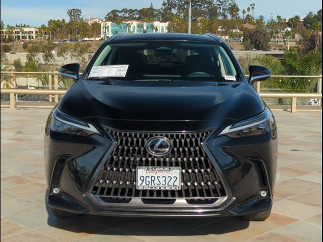 2024 Lexus NX 350h Luxury