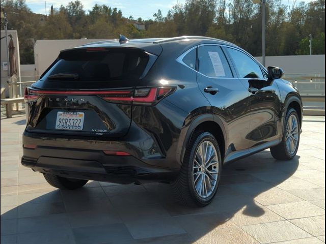 2024 Lexus NX 350h Luxury