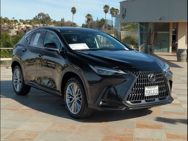 2024 Lexus NX 350h Luxury